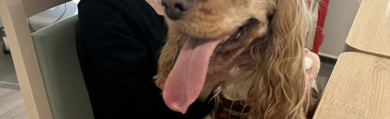 Des compagnons à quatre pattes au service du bien-être des résidents !